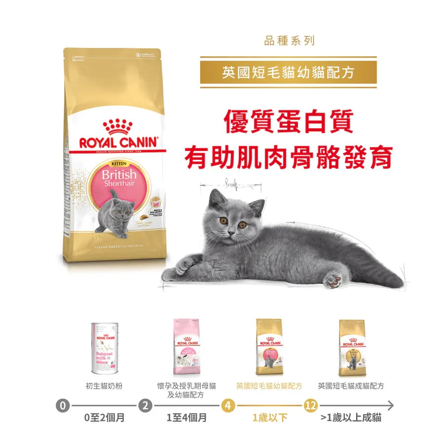 Royal Canin | 英國短毛幼貓貓乾糧 2kg