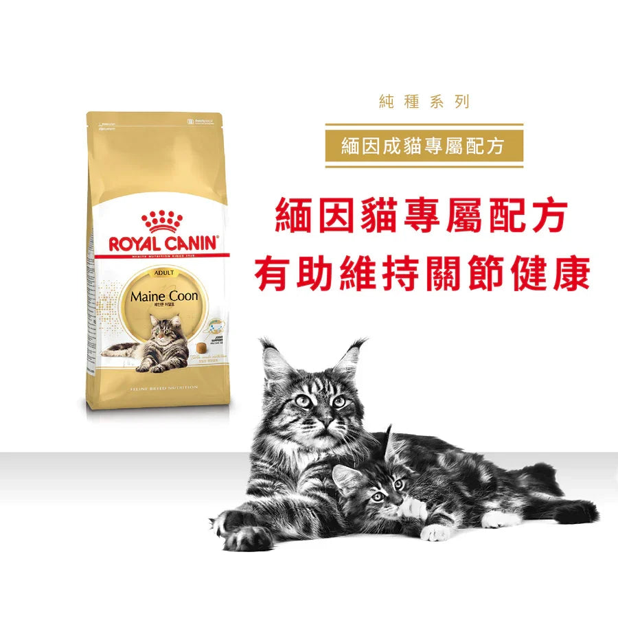 Royal Canin | 緬因成貓貓乾糧 10kg