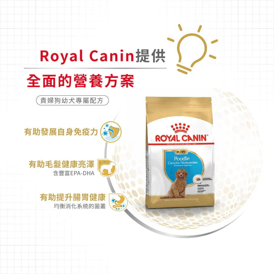 Royal Canin | 貴婦狗幼犬專屬配方狗乾糧 3kg