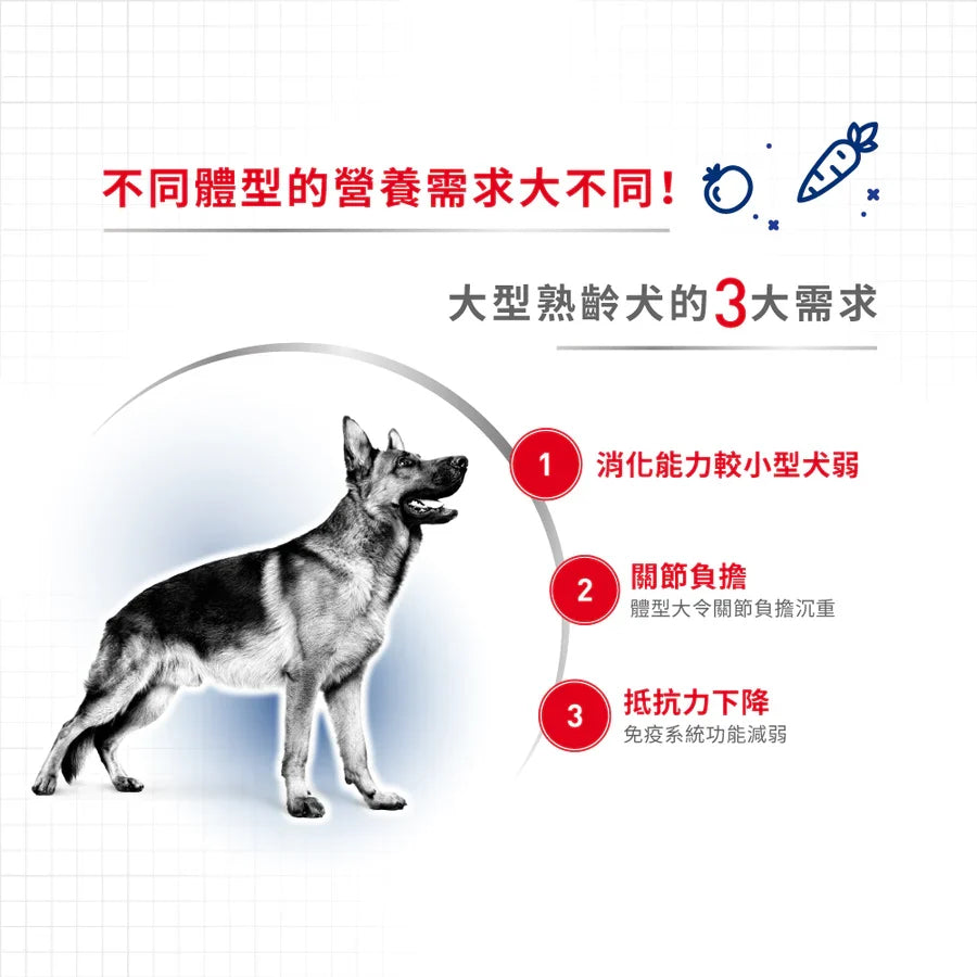 Royal Canin | 大型成犬5+營養配方 Maxi Adult 5+ 狗乾糧 15kg