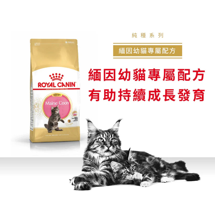 Royal Canin | 緬因幼貓貓乾糧 10kg