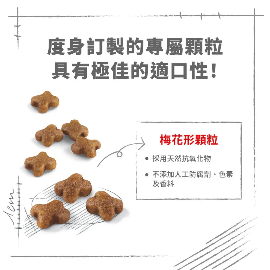 Royal Canin | 幼貓配方貓乾糧 2kg