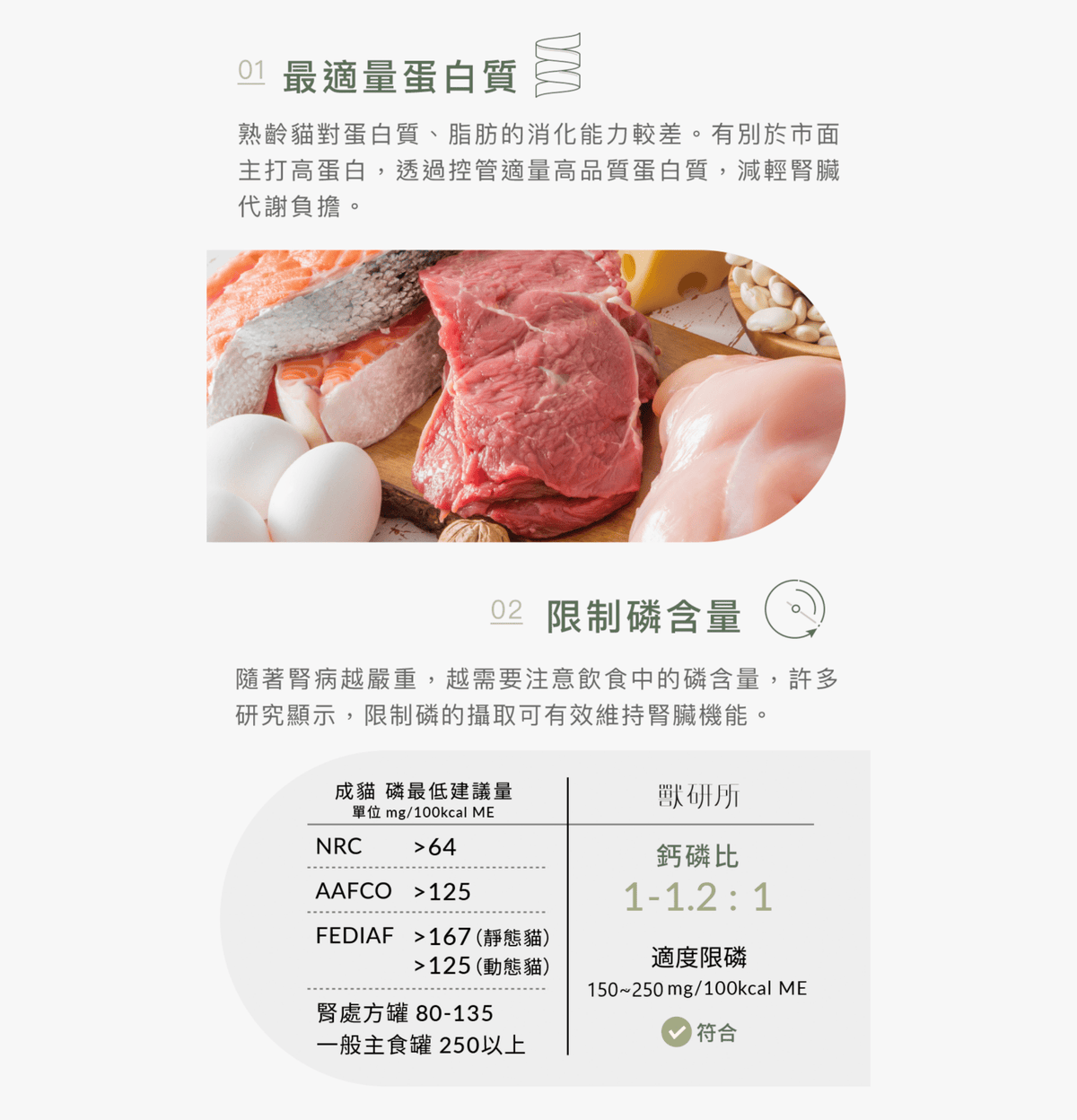 獸研所 | 腎臟保養主食貓罐頭 80g - 頂級海陸 - SugarPet 寵甜