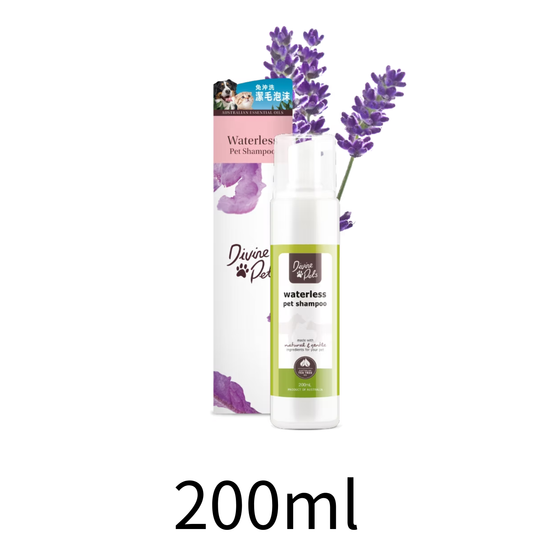 Divine Pets | 免沖洗潔毛泡沬 200ml（貓狗適用） - Lantau Pet