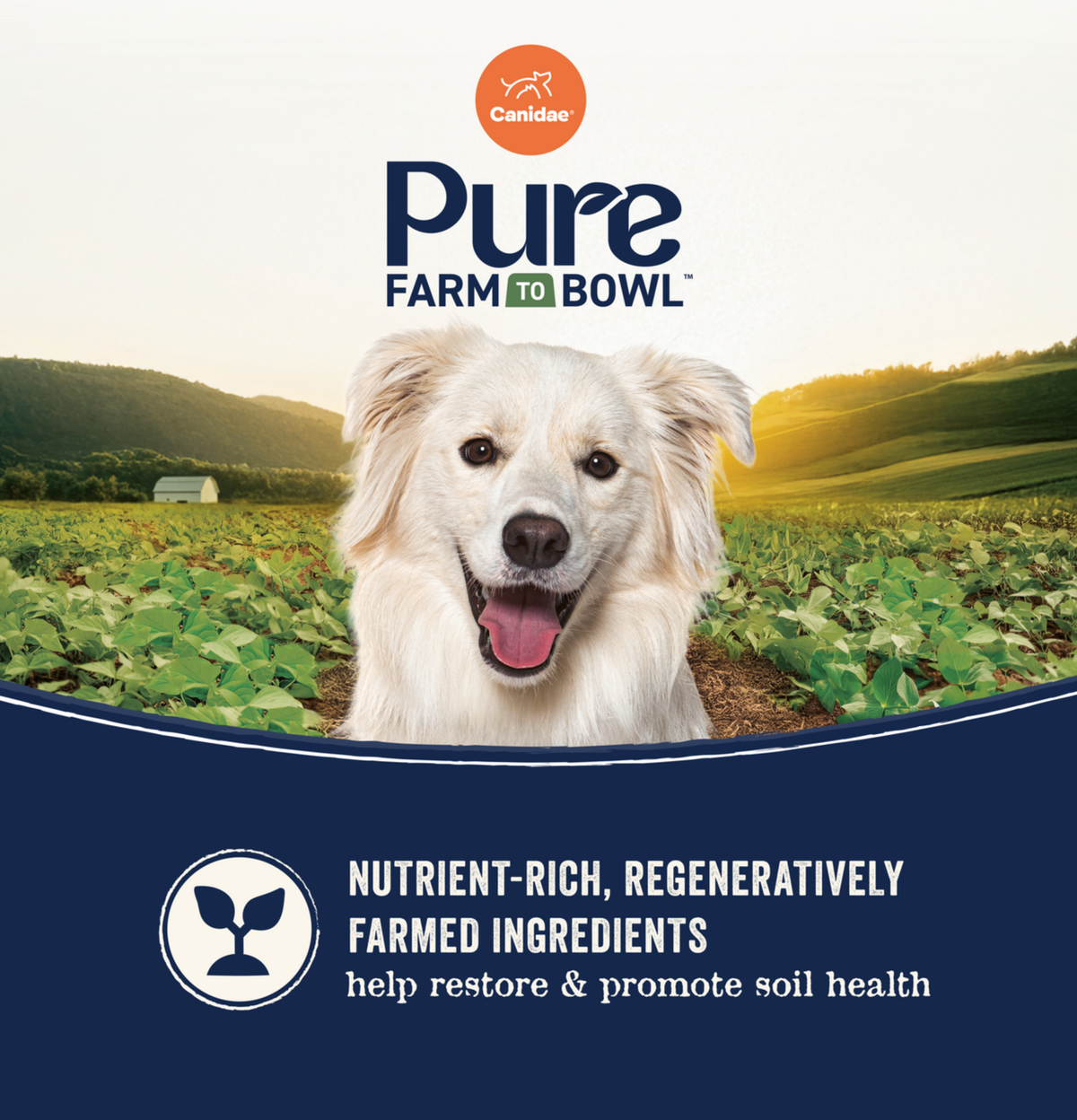 Canidae | Pure 無穀物海洋成犬(三文魚&甜薯)配方狗乾糧 4lb