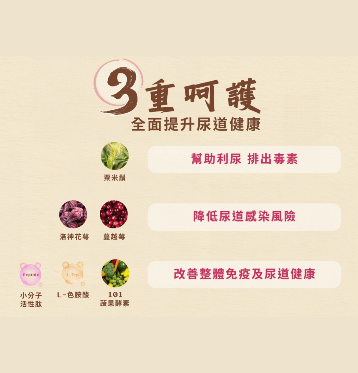 Cosset | 洛神花萼泌尿護理配方 30包 - 1g/包（貓狗食用） - Lantau Pet