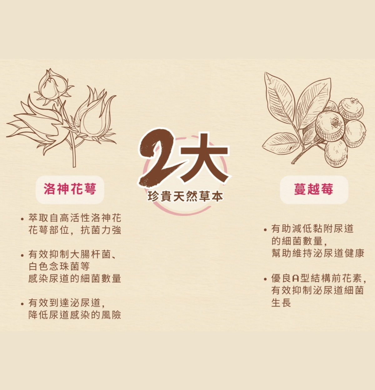 Cosset | 洛神花萼泌尿護理配方 30包 - 1g/包（貓狗食用） - Lantau Pet