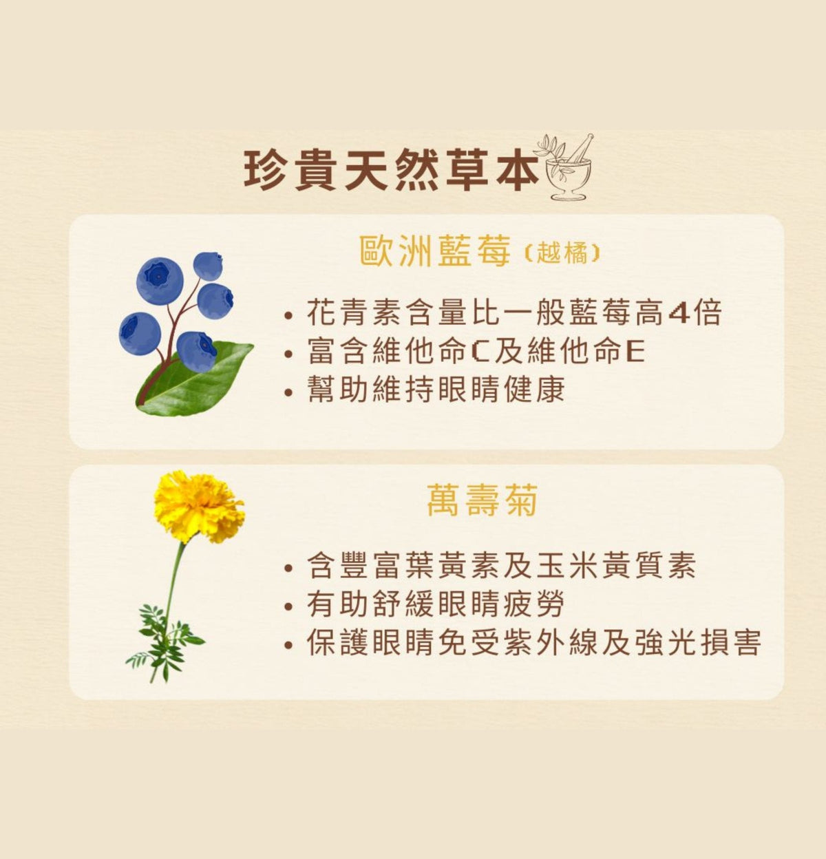 Cosset | 藍莓葉黃素複合護眼配方30粒（貓狗食用） - Lantau Pet