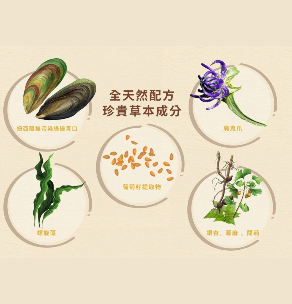 Cosset | 天然舒痛關節保健配方 60g（貓狗食用） - Lantau Pet