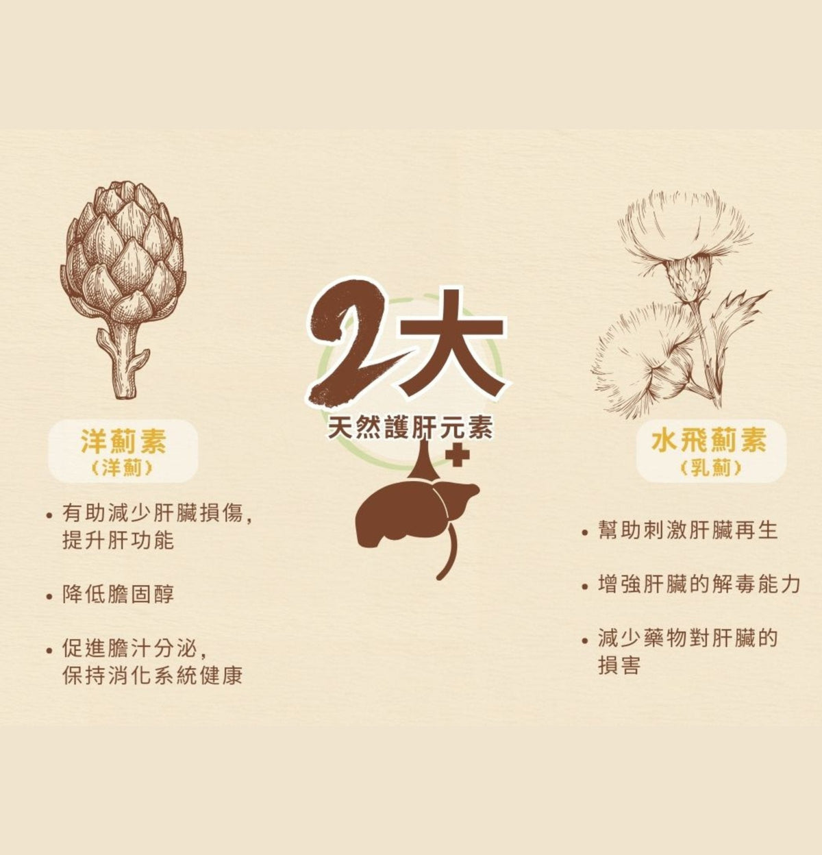 Cosset | 雙薊護肝及腸胃消化配方90粒（貓狗食用） - Lantau Pet