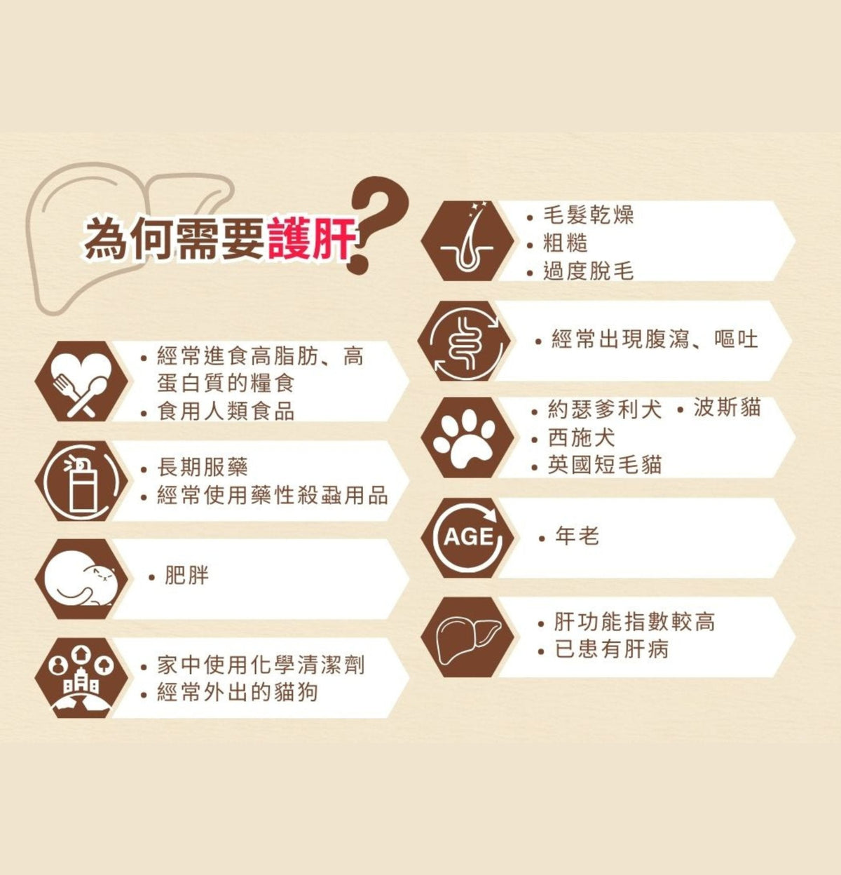Cosset | 雙薊護肝及腸胃消化配方90粒（貓狗食用） - Lantau Pet