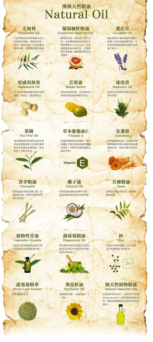 Divine Pets | 防蚊蟲跳蚤噴霧 130ml（貓狗適用） - Lantau Pet