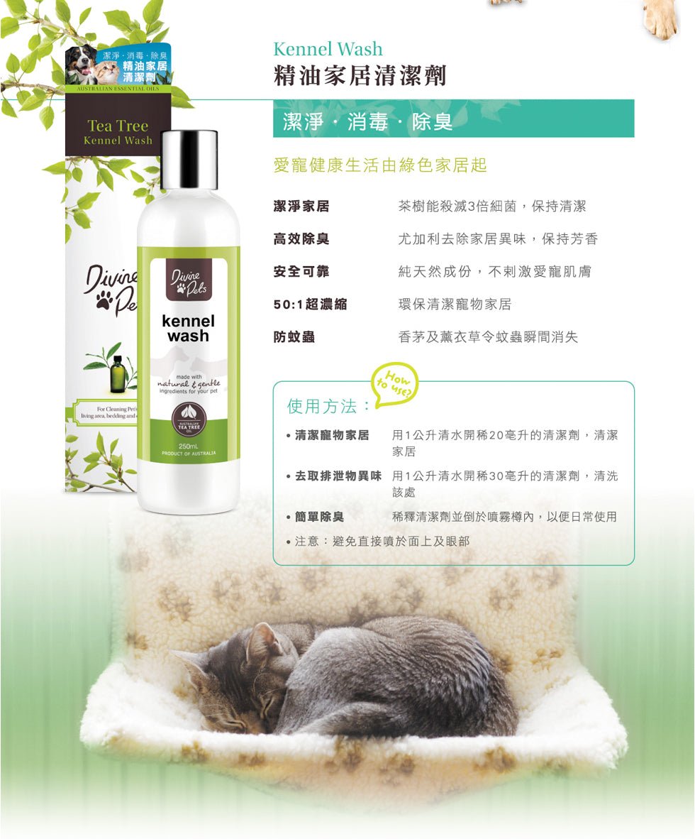 Divine Pets | 精油家居清潔劑 - SugarPet