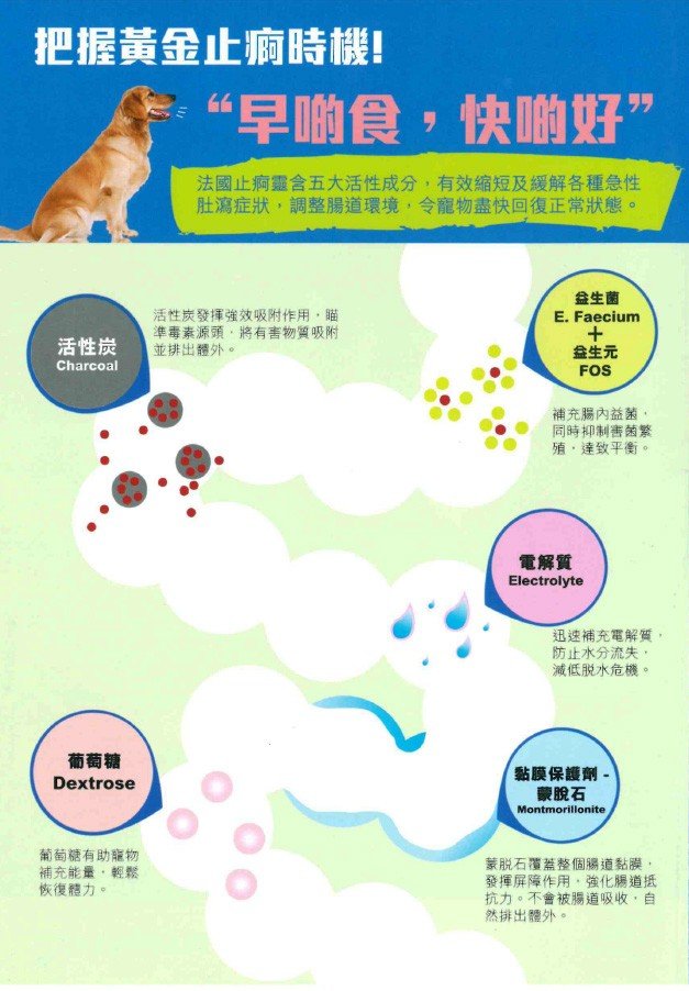 Flory Boost | 止痾靈 10ml （貓狗食用） - Lantau Pet