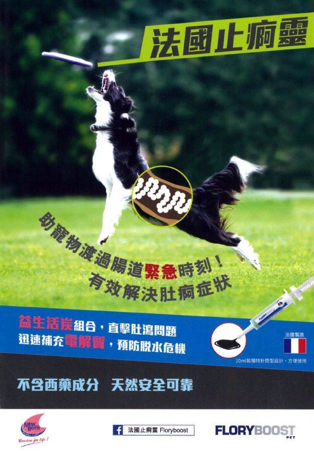 Flory Boost | 止痾靈 10ml （貓狗食用） - Lantau Pet