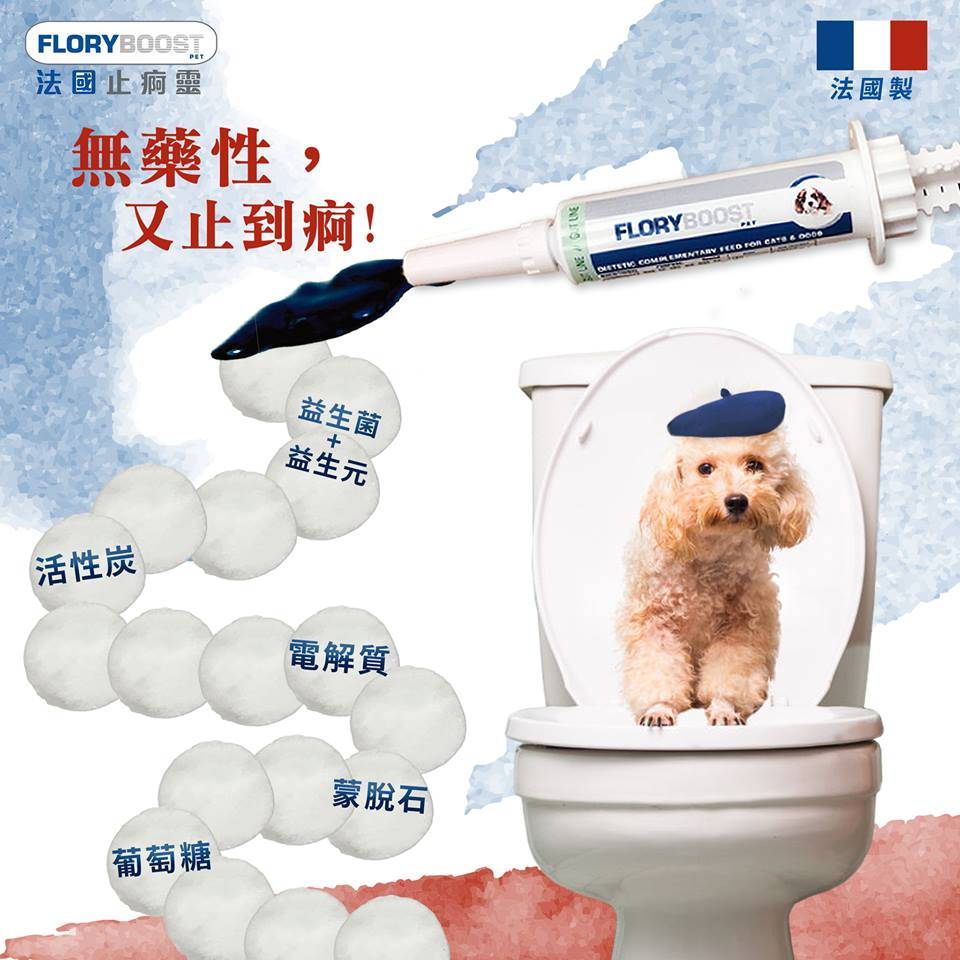 Flory Boost | 止痾靈 10ml （貓狗食用） - Lantau Pet