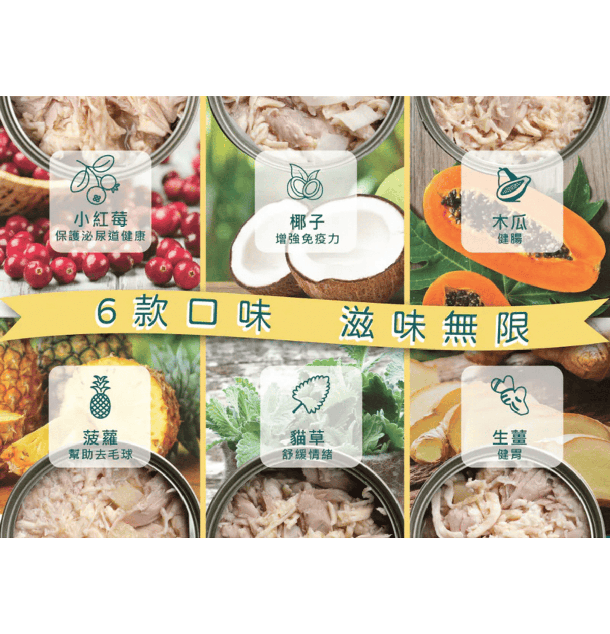 Nurture Pro | 生薑健胃主食貓罐頭 80g - 原箱（24罐）