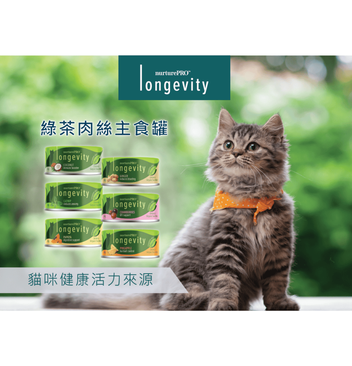 Nurture Pro | 菠蘿去毛球主食貓罐頭 80g - 1罐