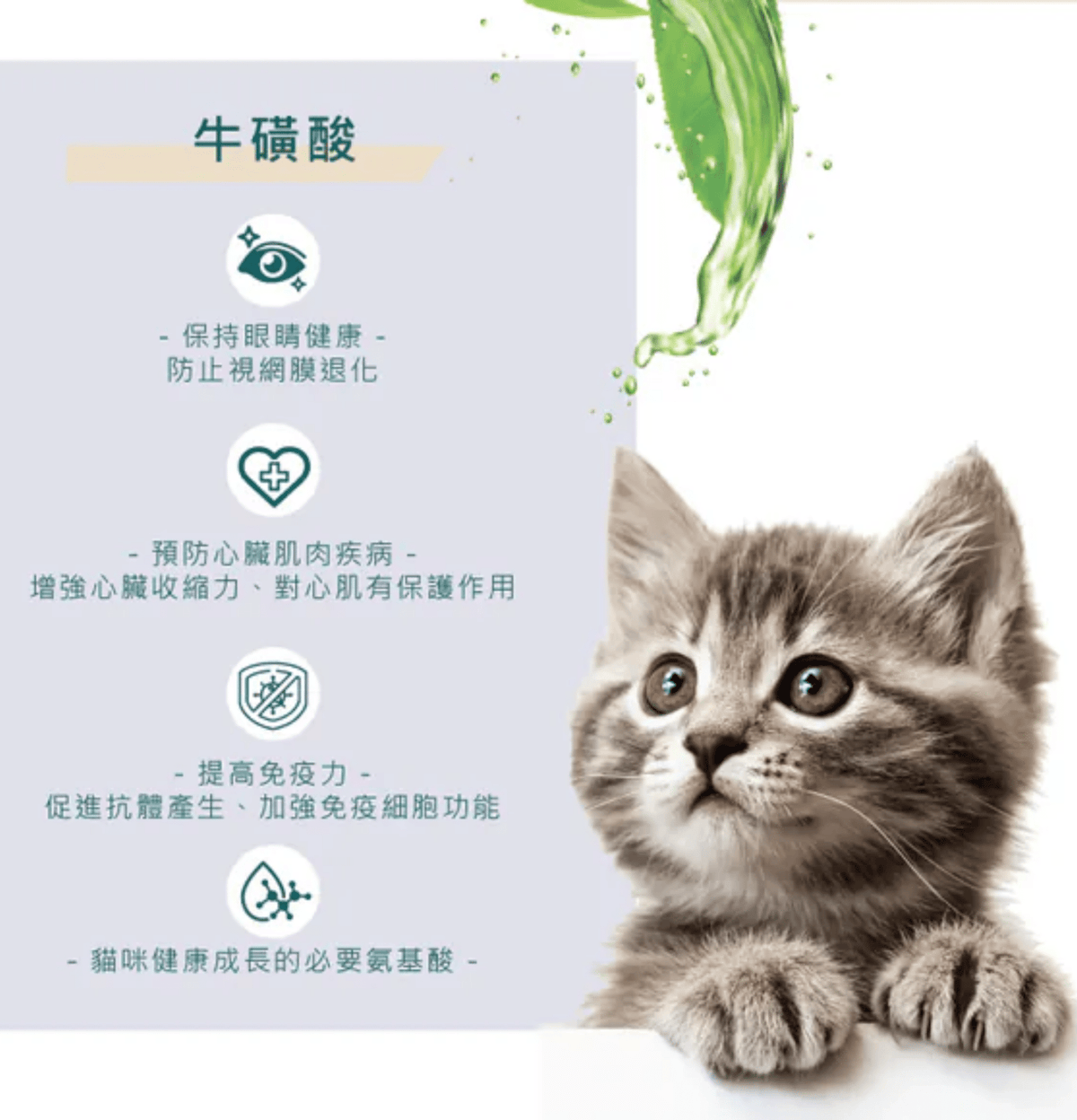 Nurture Pro | 生薑健胃主食貓罐頭 80g - 原箱（24罐）
