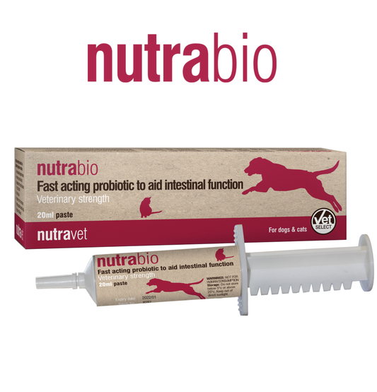 Nutrabio |  貓狗特效止瀉膏 20ml - 快速改善寵物腹瀉的專業配方