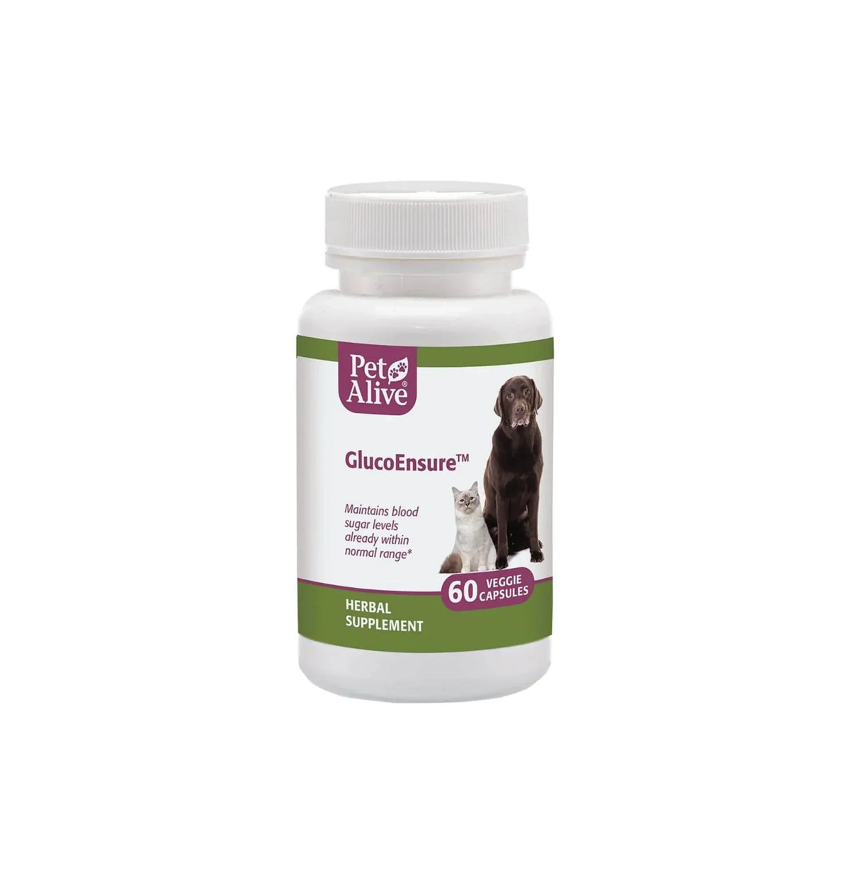 PetAlive | GlucoEnsure 針對糖尿病 60粒（貓狗食用） - SugarPet