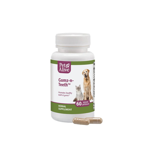 PetAlive | Gumz - n - Teeth 促進牙齒及口腔健康 60粒（貓狗食用） - SugarPet