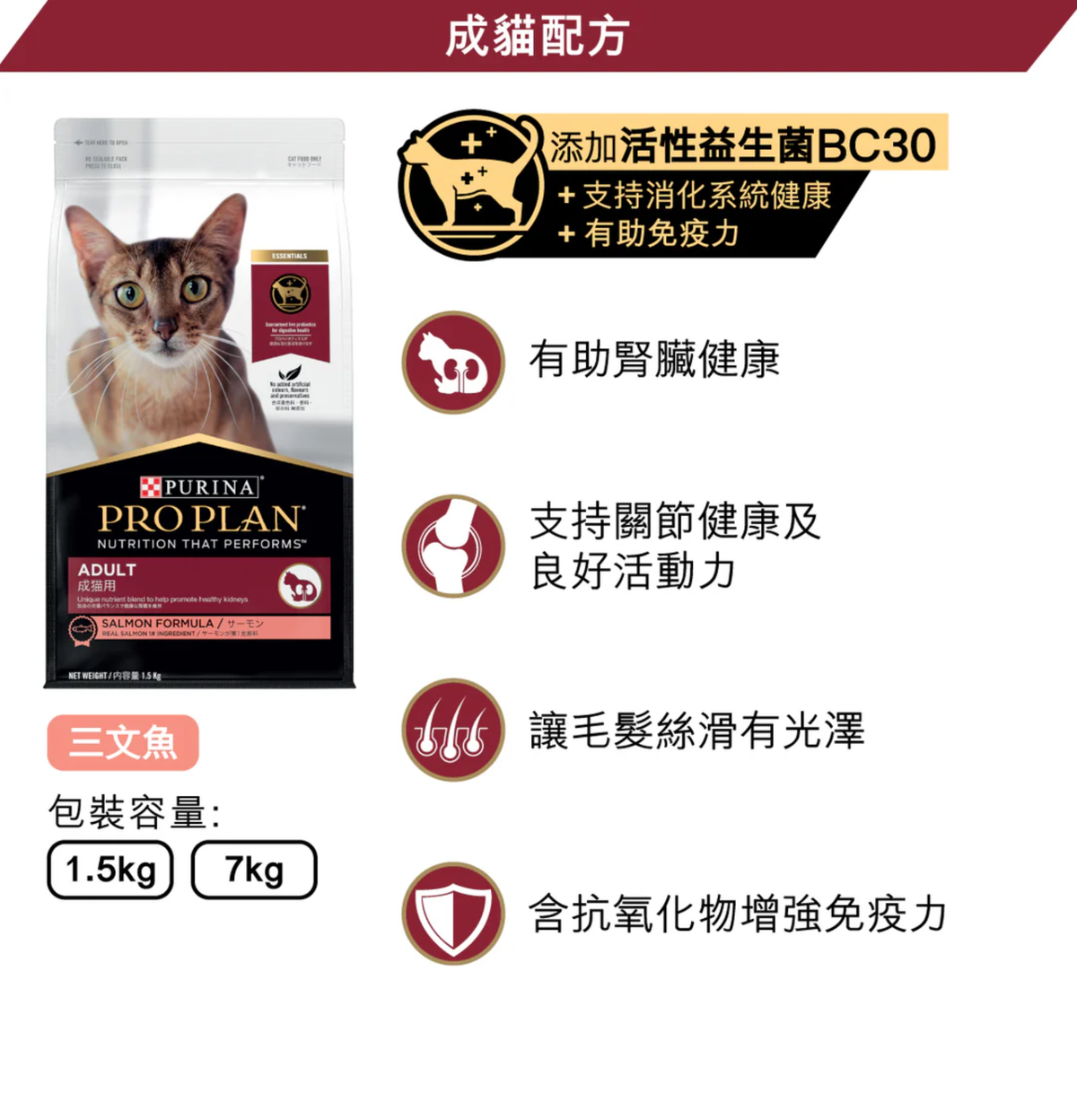 Purina | 成貓三文魚貓乾糧 7kg