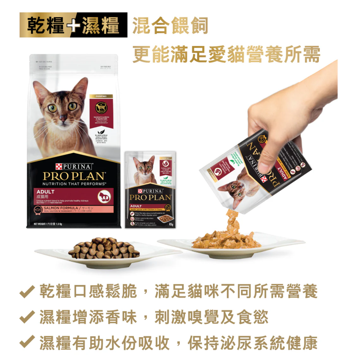 Purina | 成貓三文魚貓乾糧 7kg
