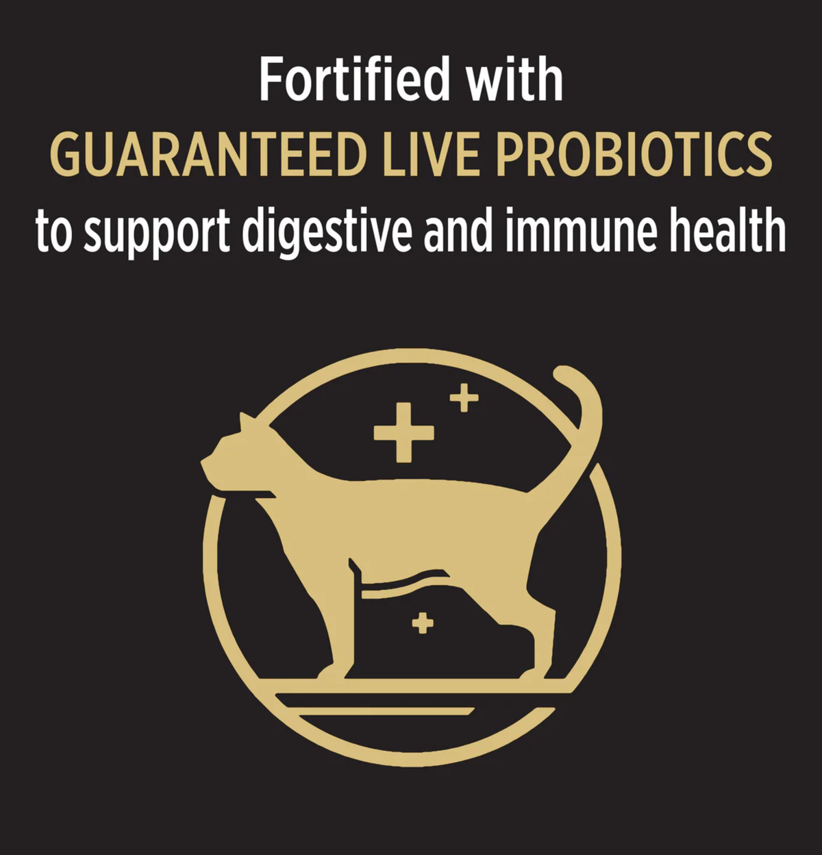 Purina | 成貓室內去毛球雞肉貓乾糧 1.5kg