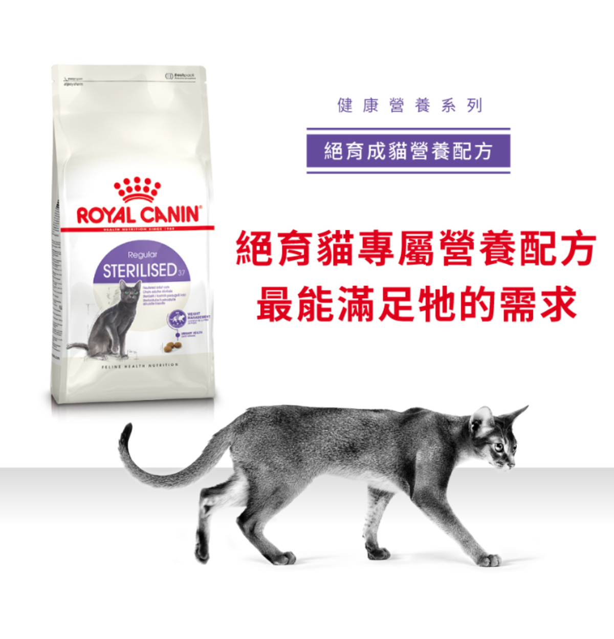 Royal Canin | 絕育成貓營養貓乾糧 2kg