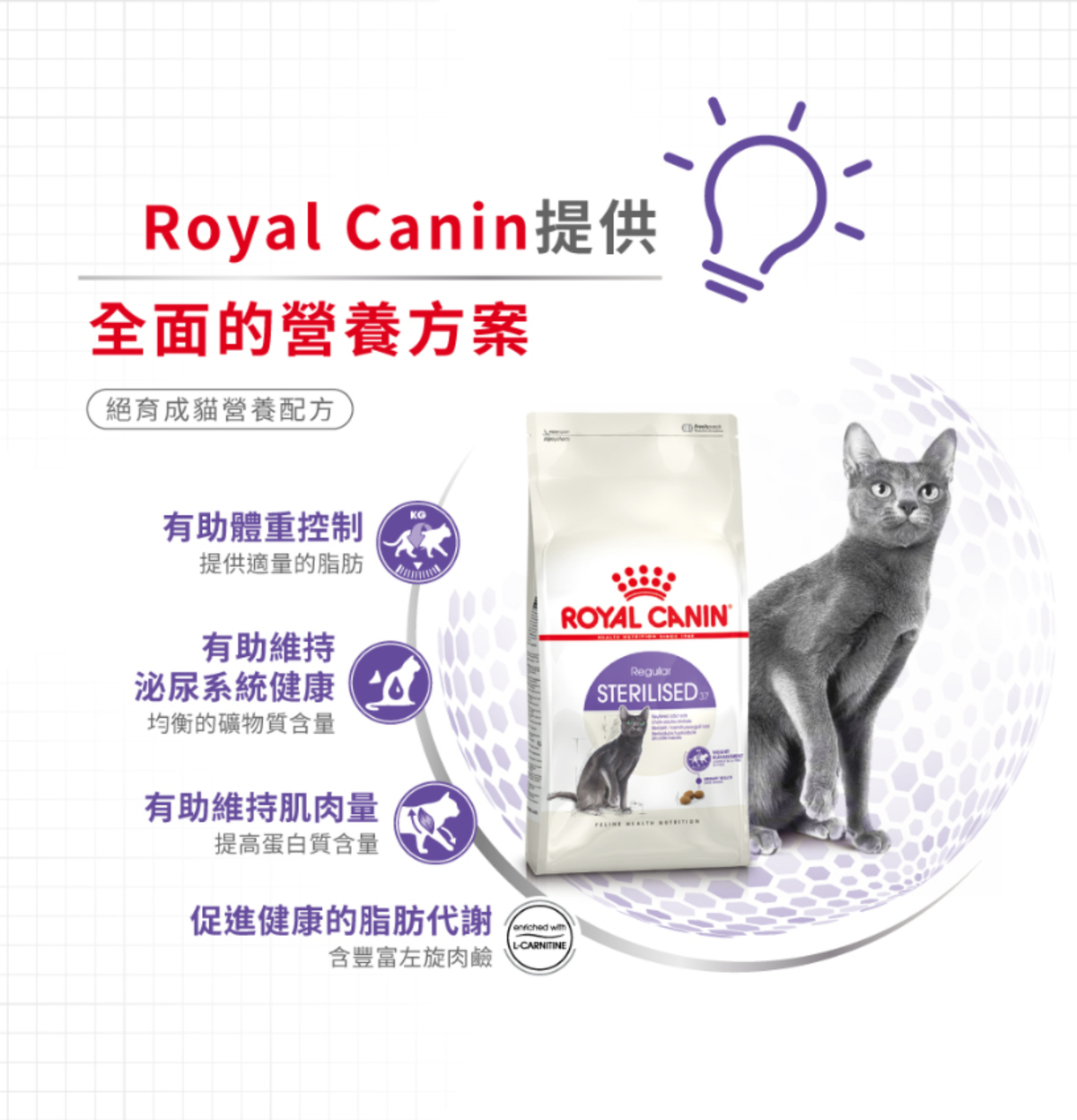 Royal Canin | 絕育成貓營養貓乾糧 2kg