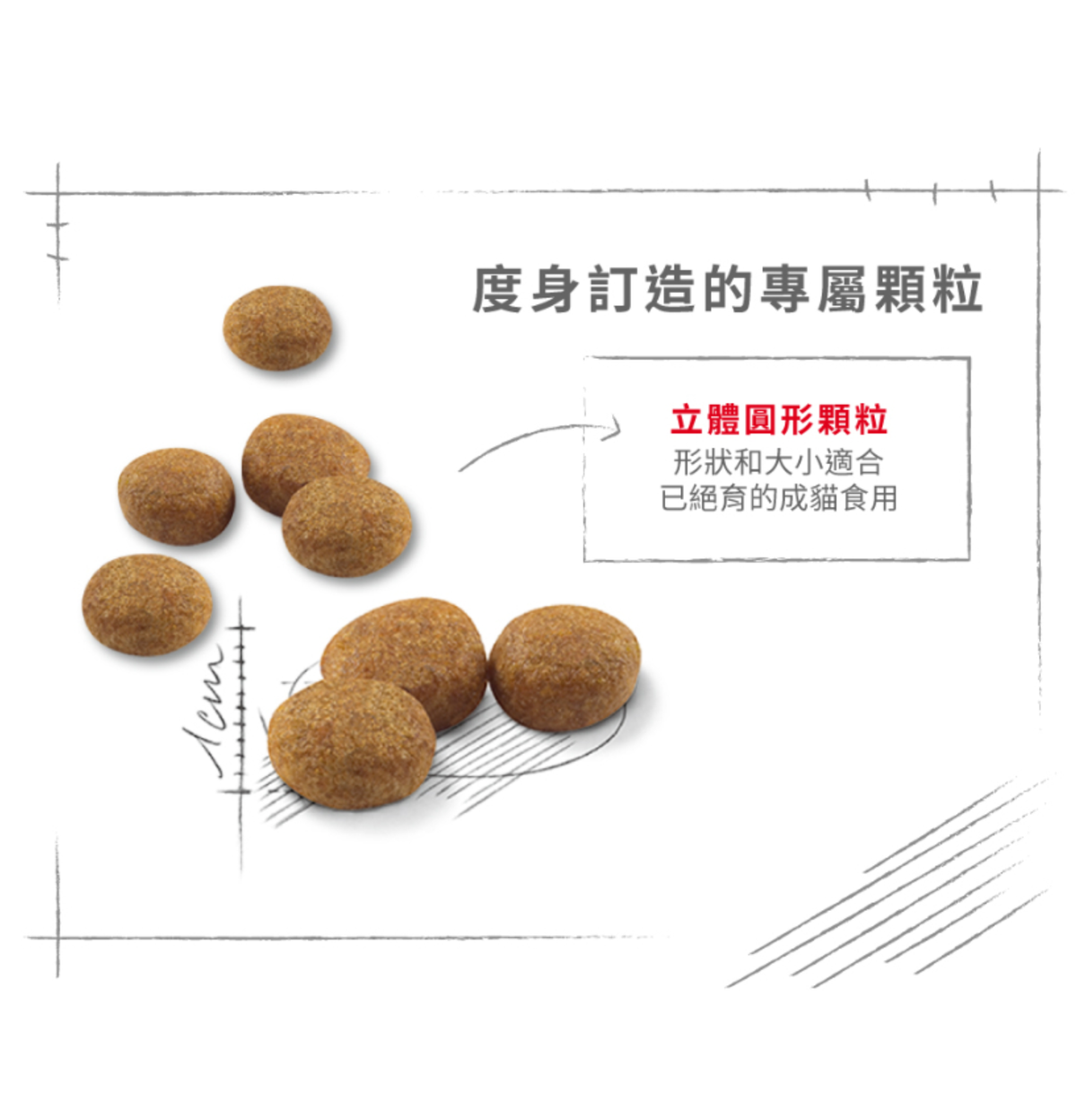 Royal Canin | 絕育成貓營養貓乾糧 10kg