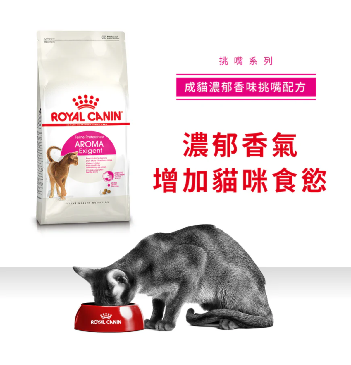 Royal Canin | 成貓濃郁香味挑嘴配方貓乾糧 2kg