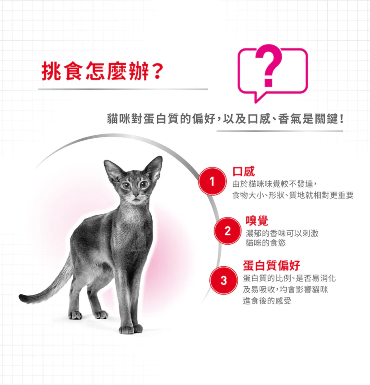 Royal Canin | 成貓濃郁香味挑嘴配方貓乾糧 2kg