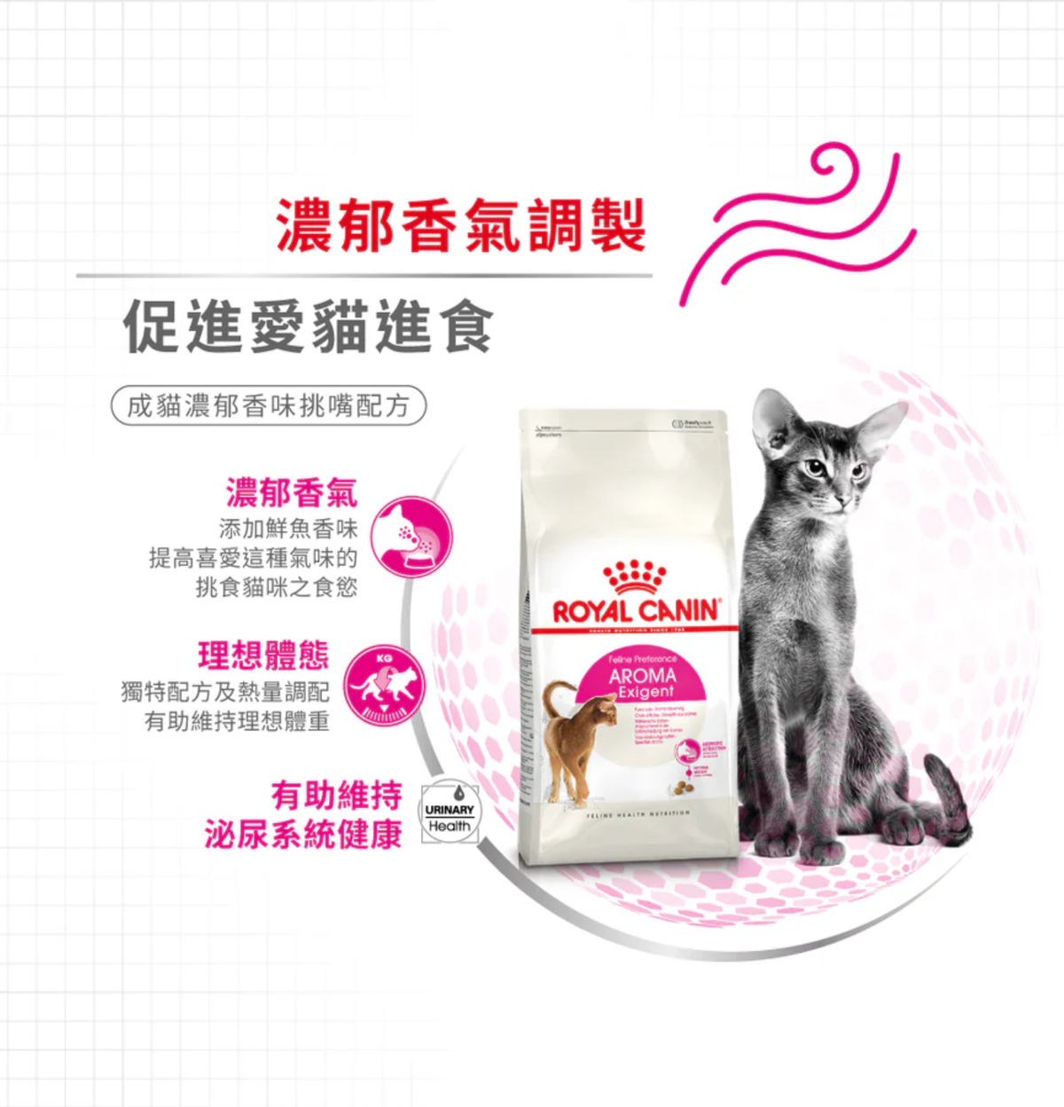 Royal Canin | 成貓濃郁香味挑嘴配方貓乾糧 2kg
