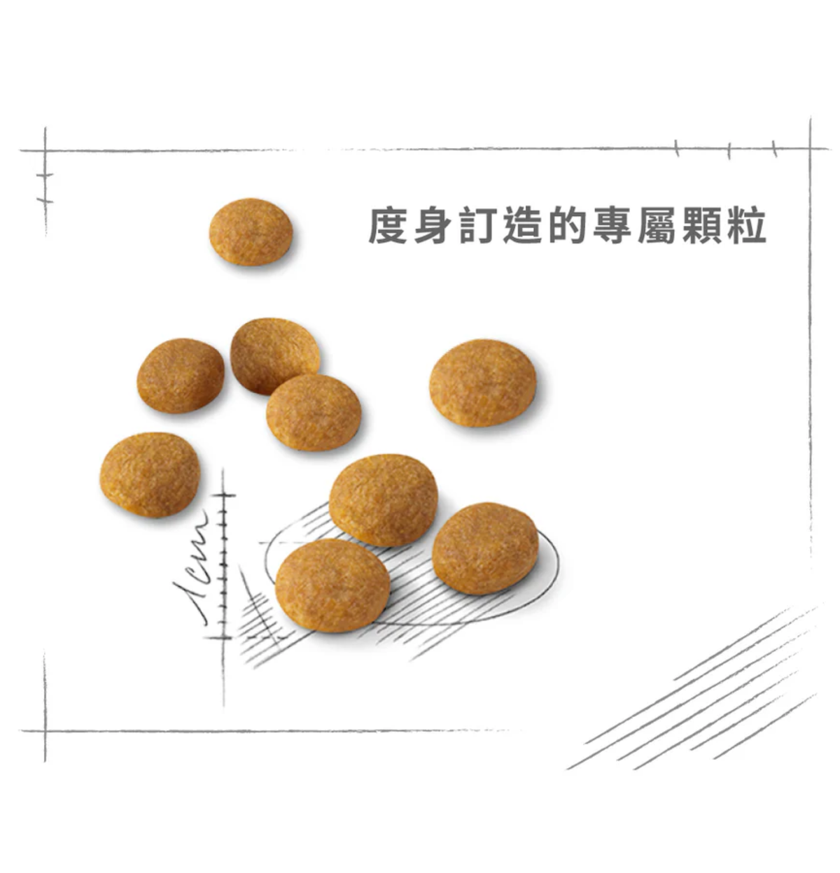 Royal Canin | 成貓濃郁香味挑嘴配方貓乾糧 2kg