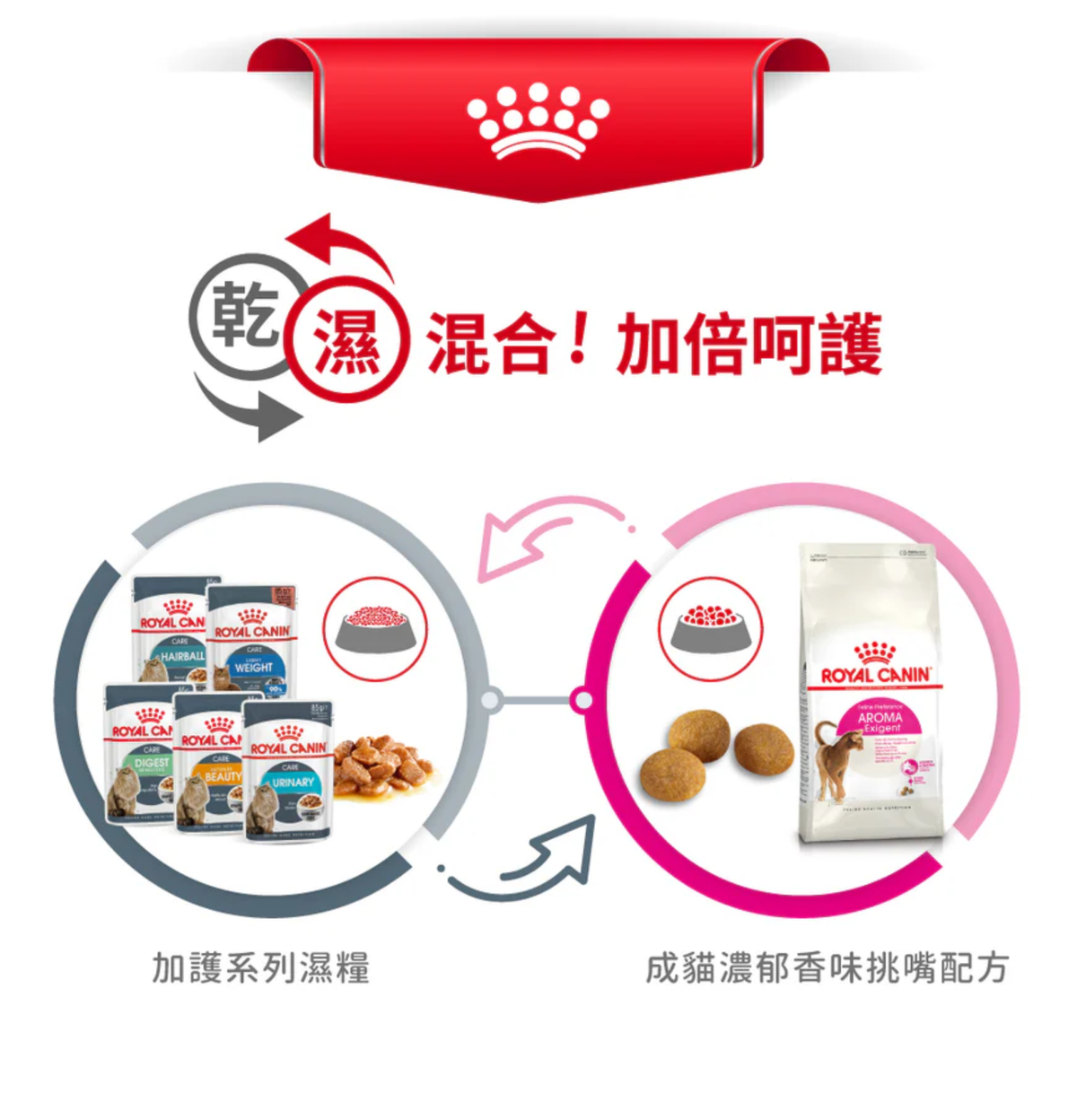 Royal Canin | 成貓濃郁香味挑嘴配方貓乾糧 2kg