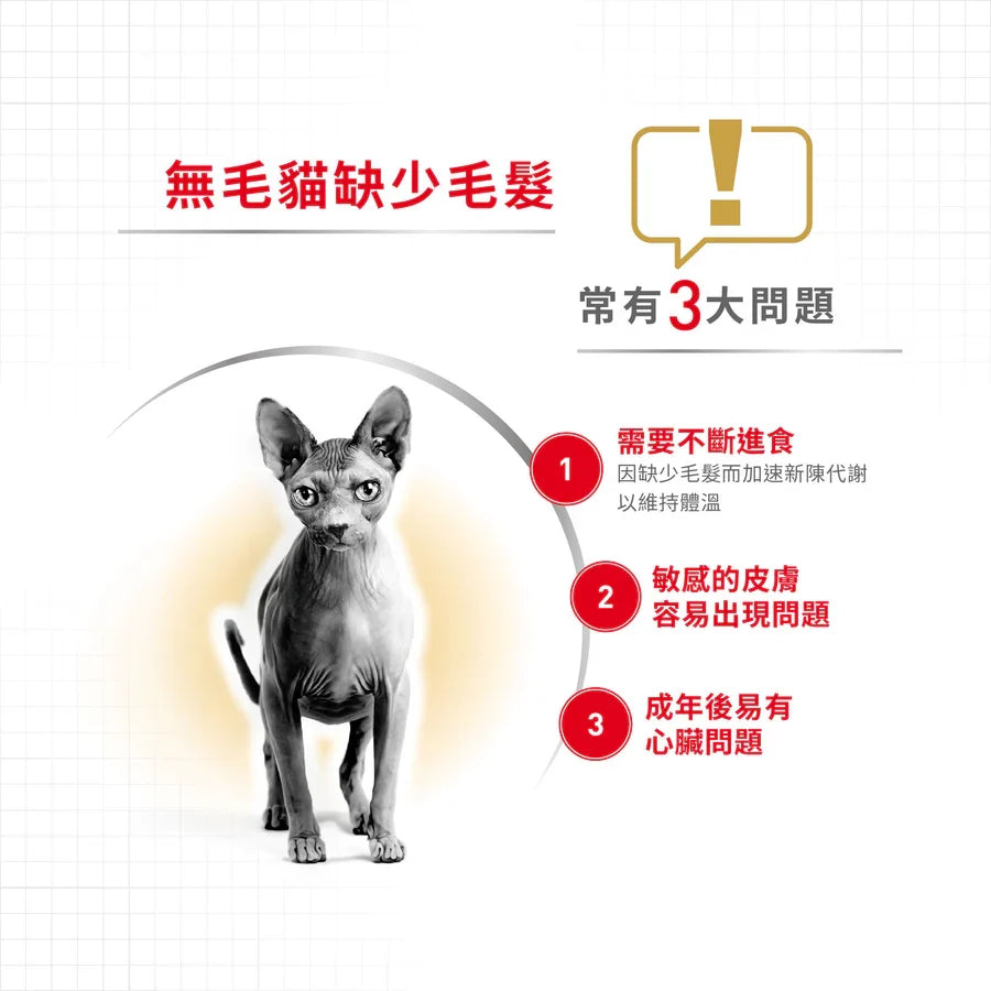 Royal Canin | 無毛成貓貓乾糧 2kg