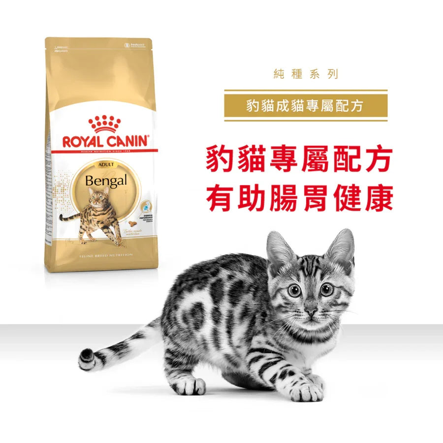 Royal Canin | 孟加拉豹貓成貓乾糧 10kg