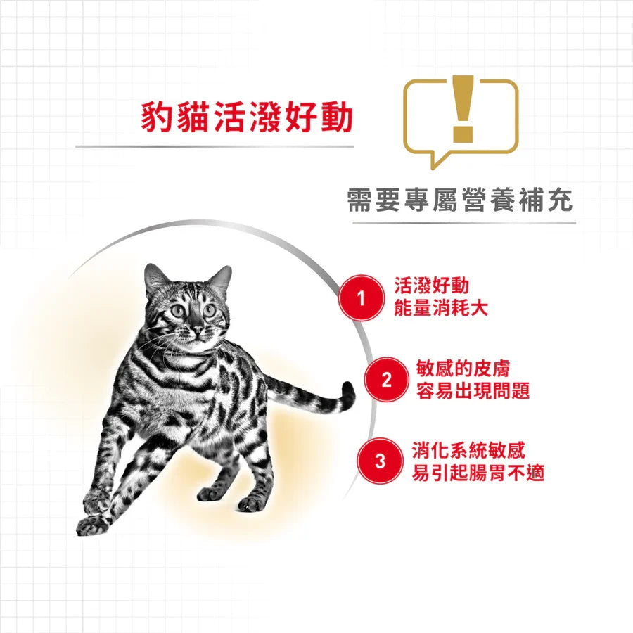 Royal Canin | 孟加拉豹貓成貓乾糧 10kg