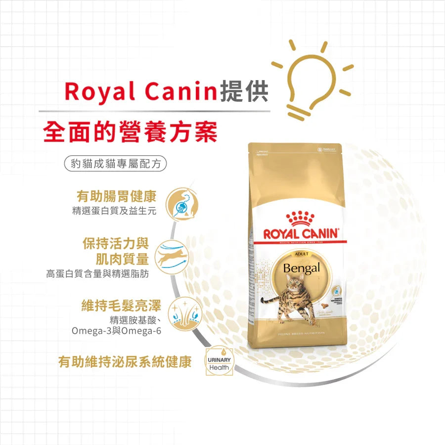 Royal Canin | 孟加拉豹貓成貓乾糧 10kg