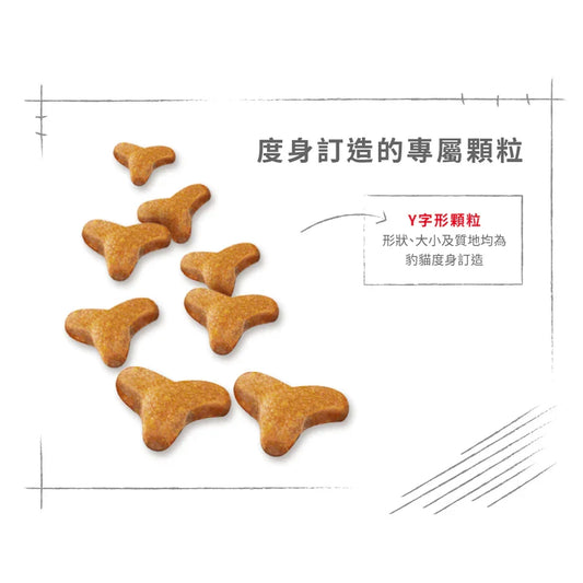 Royal Canin | 孟加拉豹貓成貓乾糧 10kg