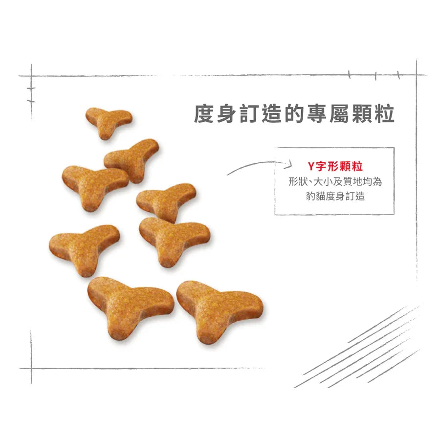 Royal Canin | 孟加拉豹貓成貓乾糧 2kg