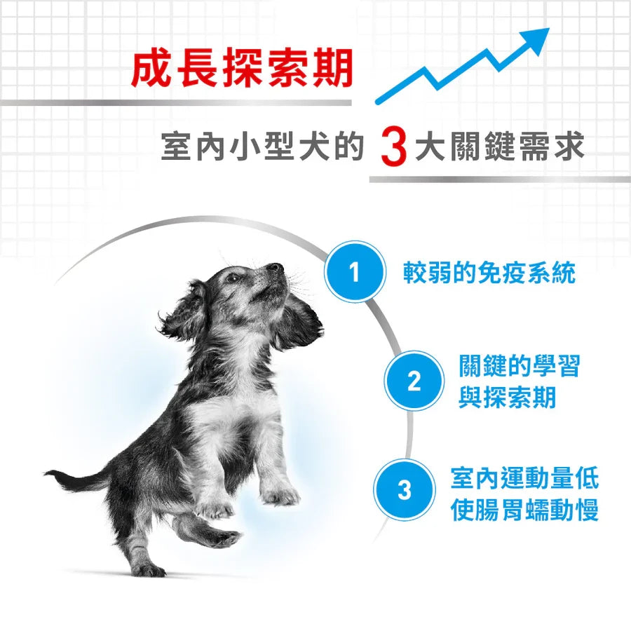 Royal Canin | 室內小型幼犬狗乾糧 1.5kg