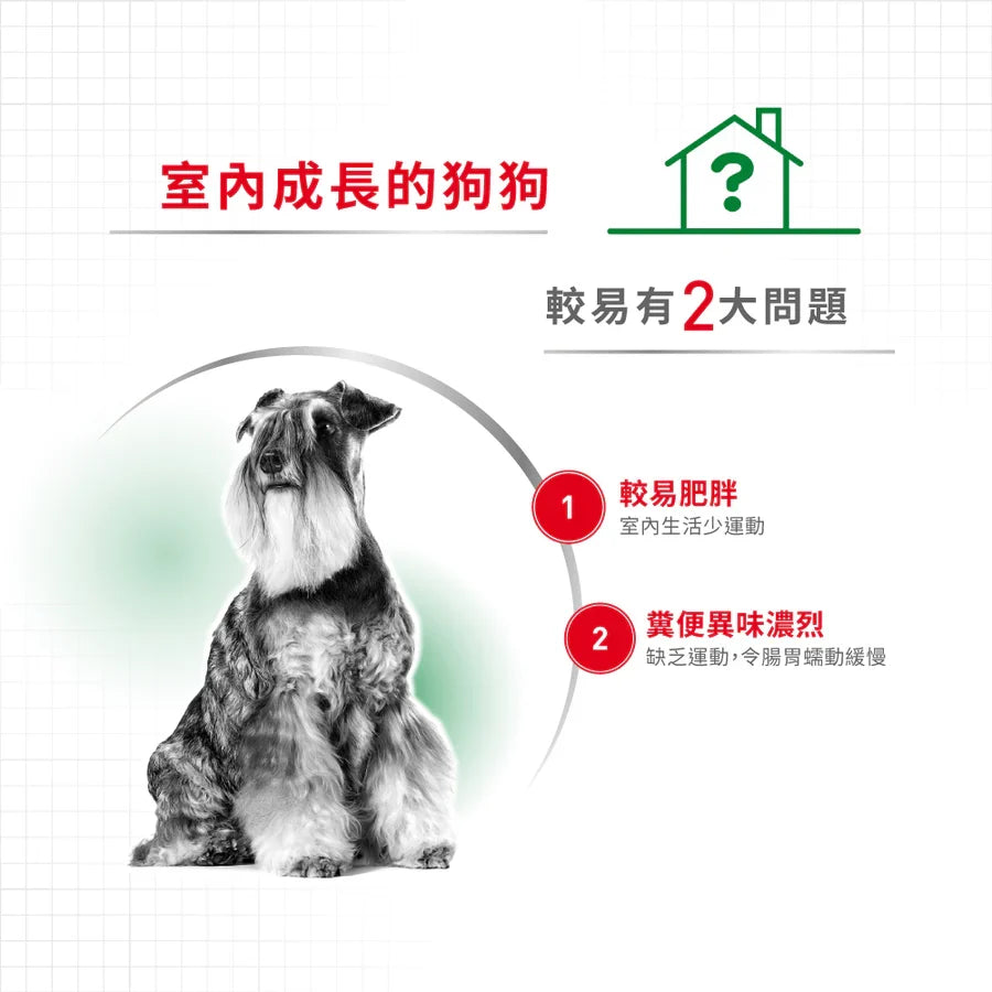 Royal Canin | 室內小型成犬狗乾糧 3kg