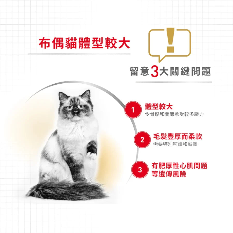 Royal Canin | 布偶成貓貓乾糧 10kg