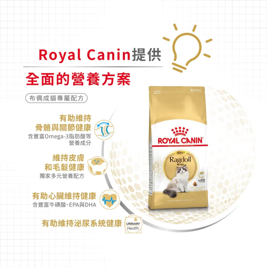 Royal Canin | 布偶成貓貓乾糧 10kg