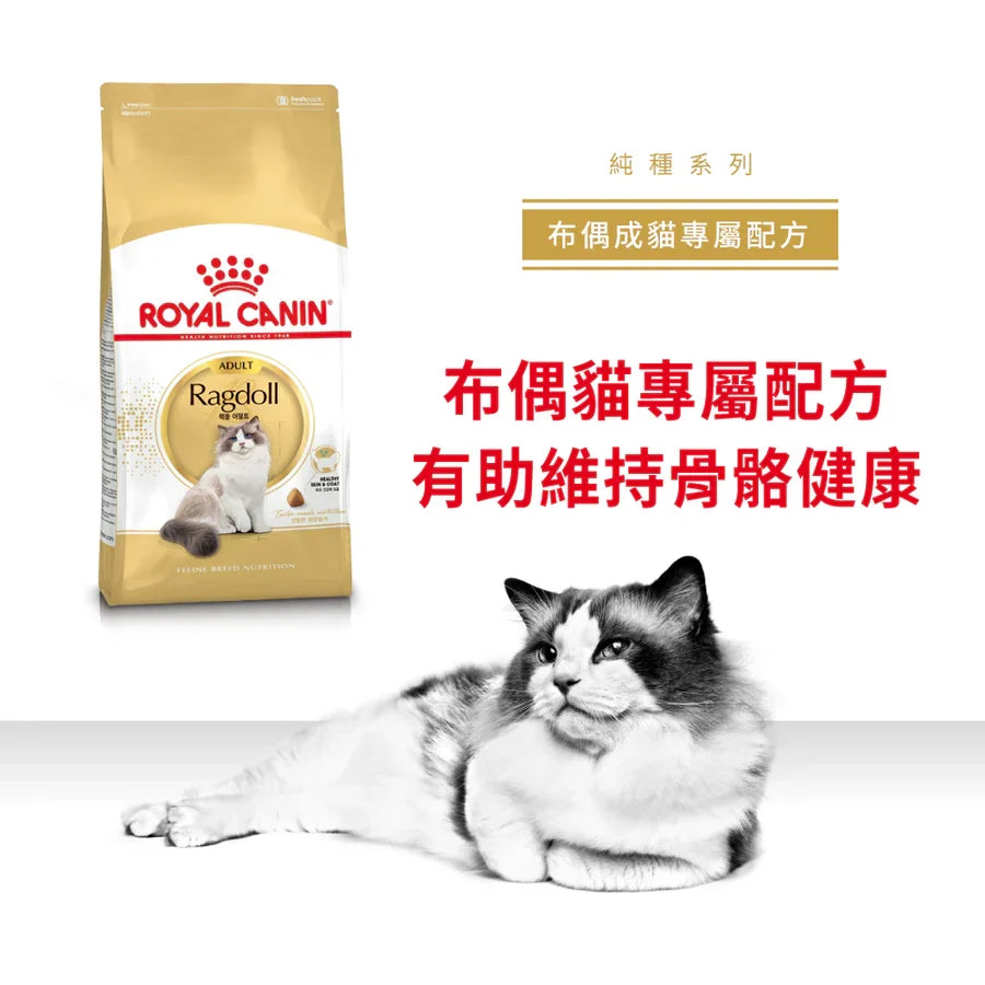 Royal Canin | 布偶成貓貓乾糧 10kg