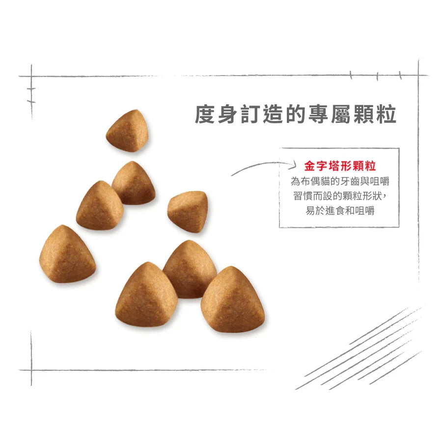 Royal Canin | 布偶成貓貓乾糧 10kg
