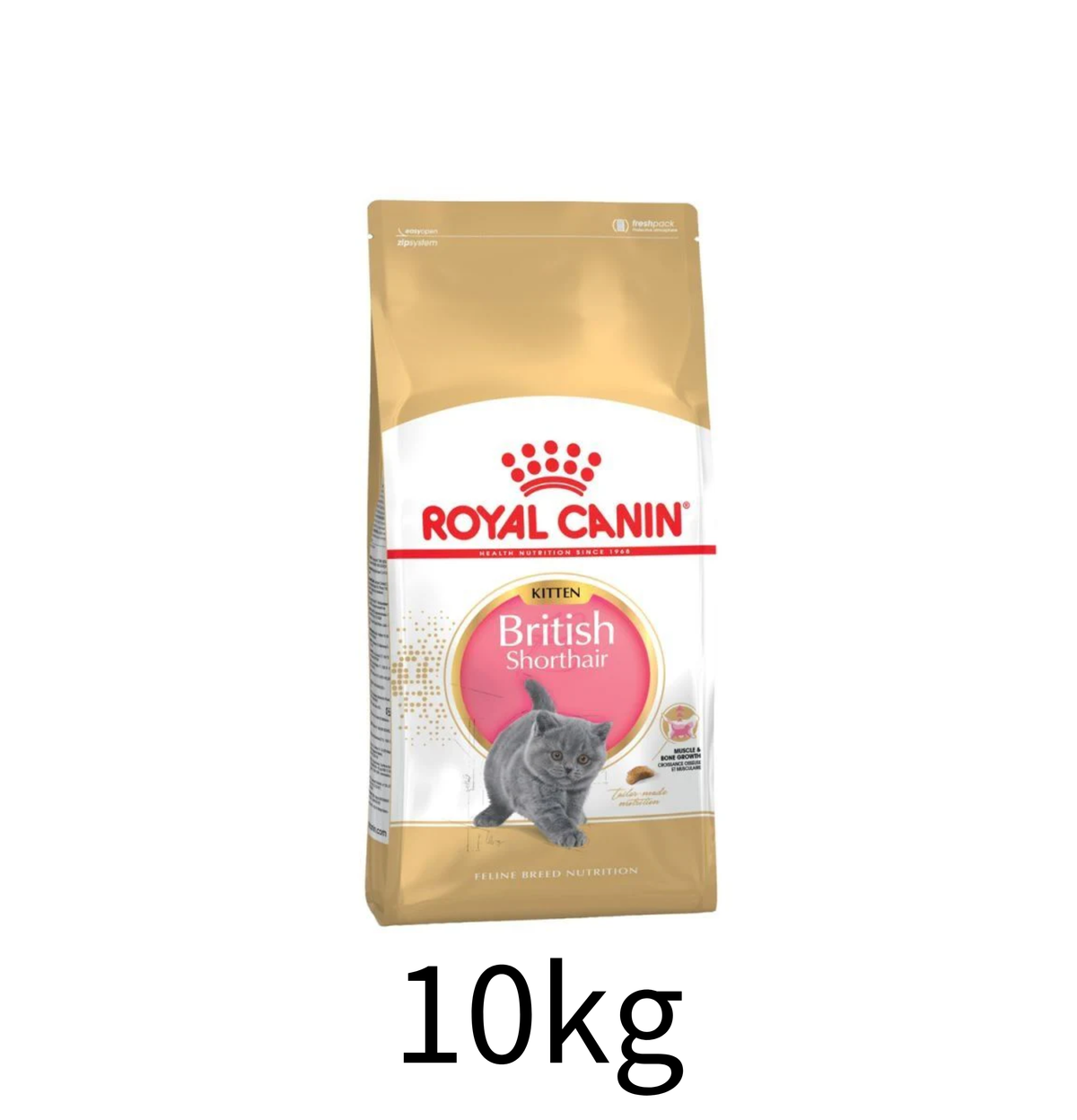 Royal Canin | 英國短毛幼貓貓乾糧 10kg